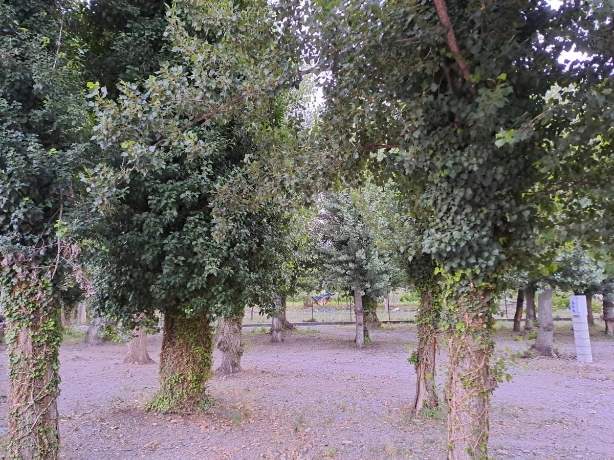 Valle Del Andarax *