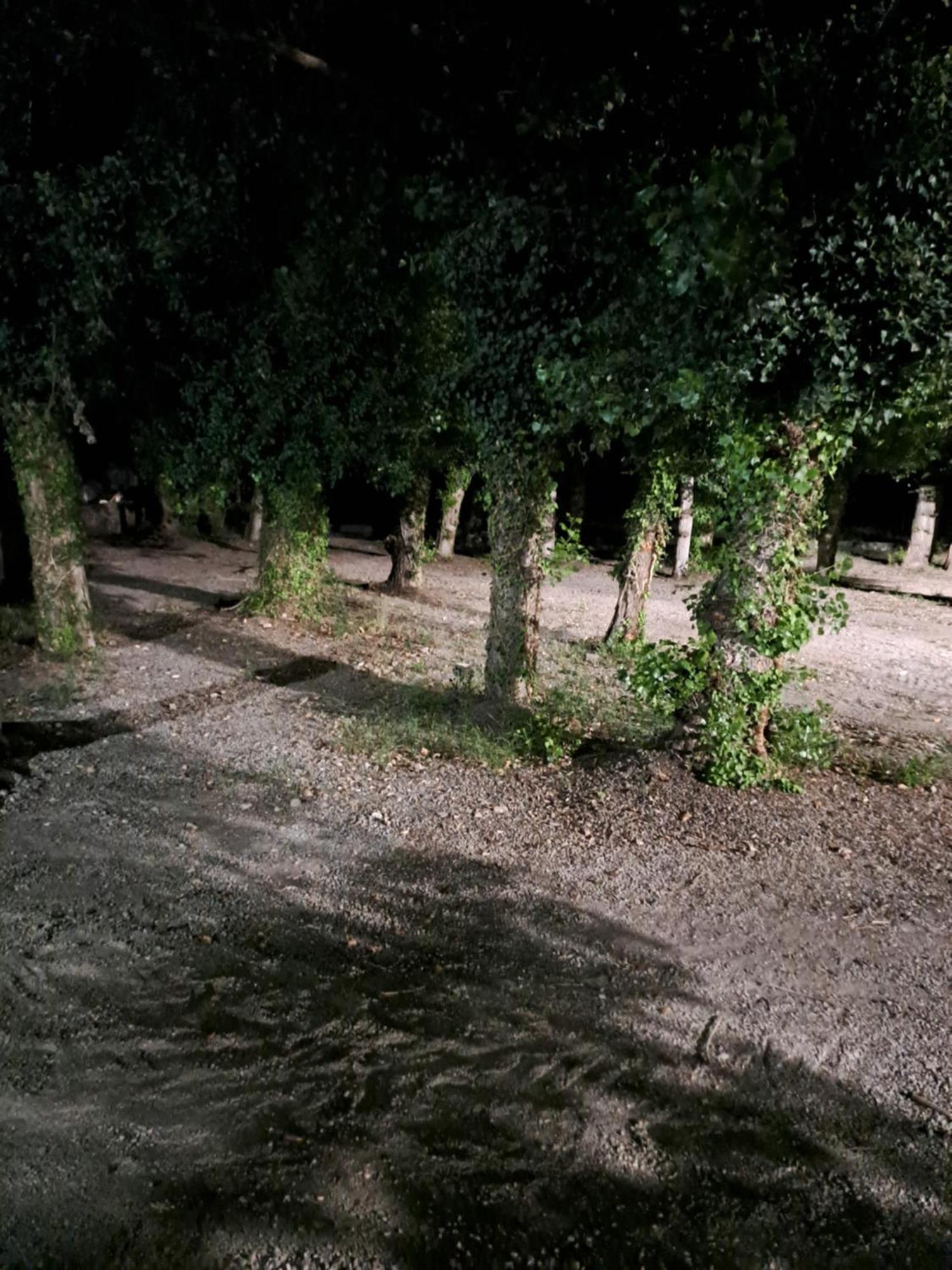 Campsite Valle Del Andarax *