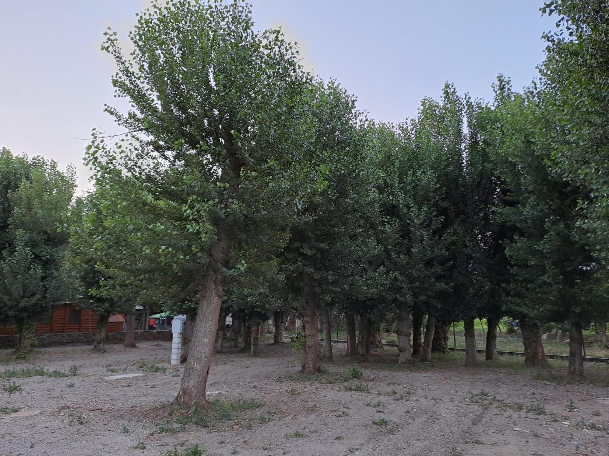 Valle Del Andarax Campsite