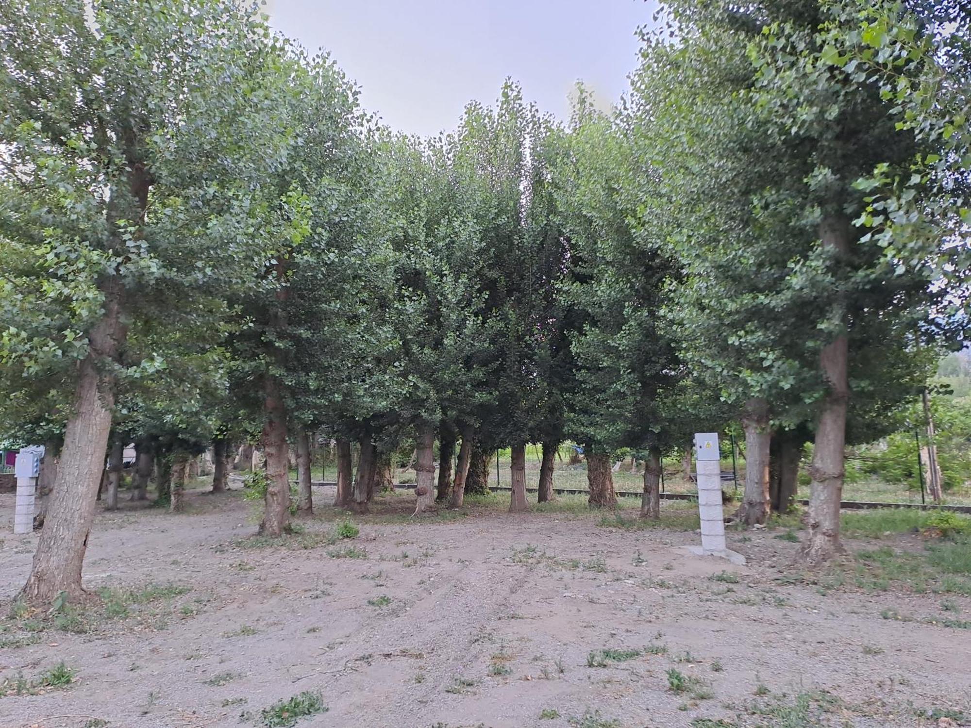 Valle Del Andarax *