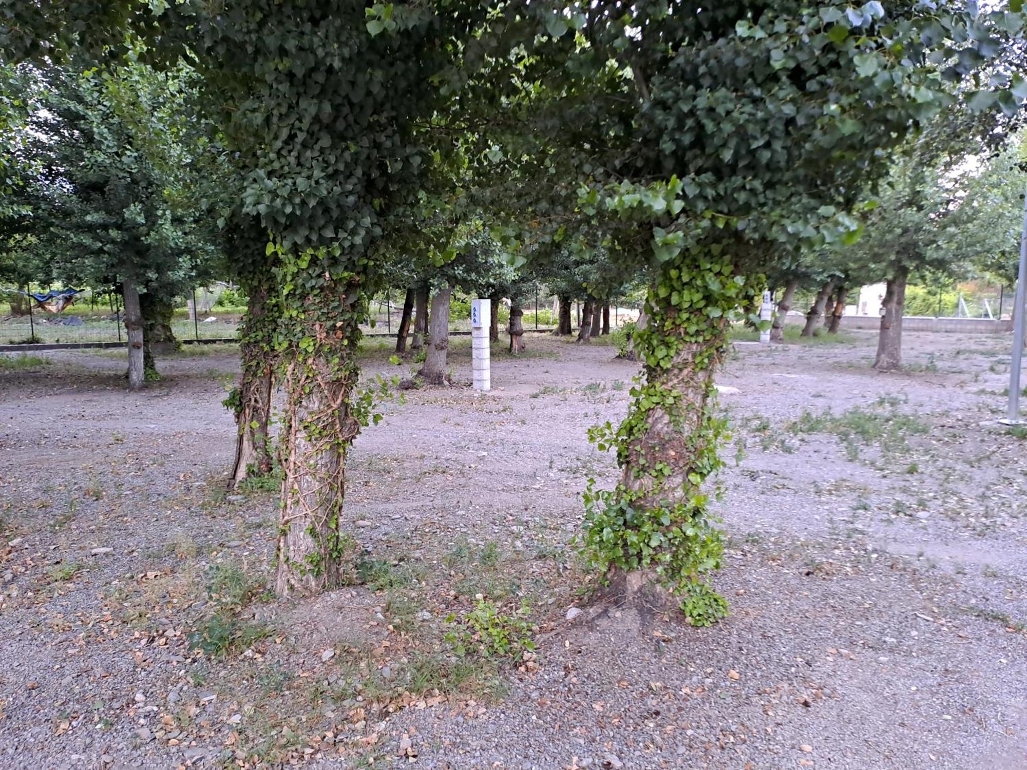 Valle Del Andarax Campsite Fondon